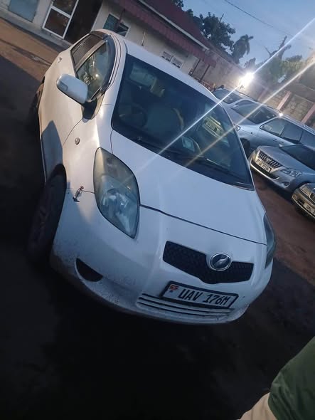 A picture of Vitz