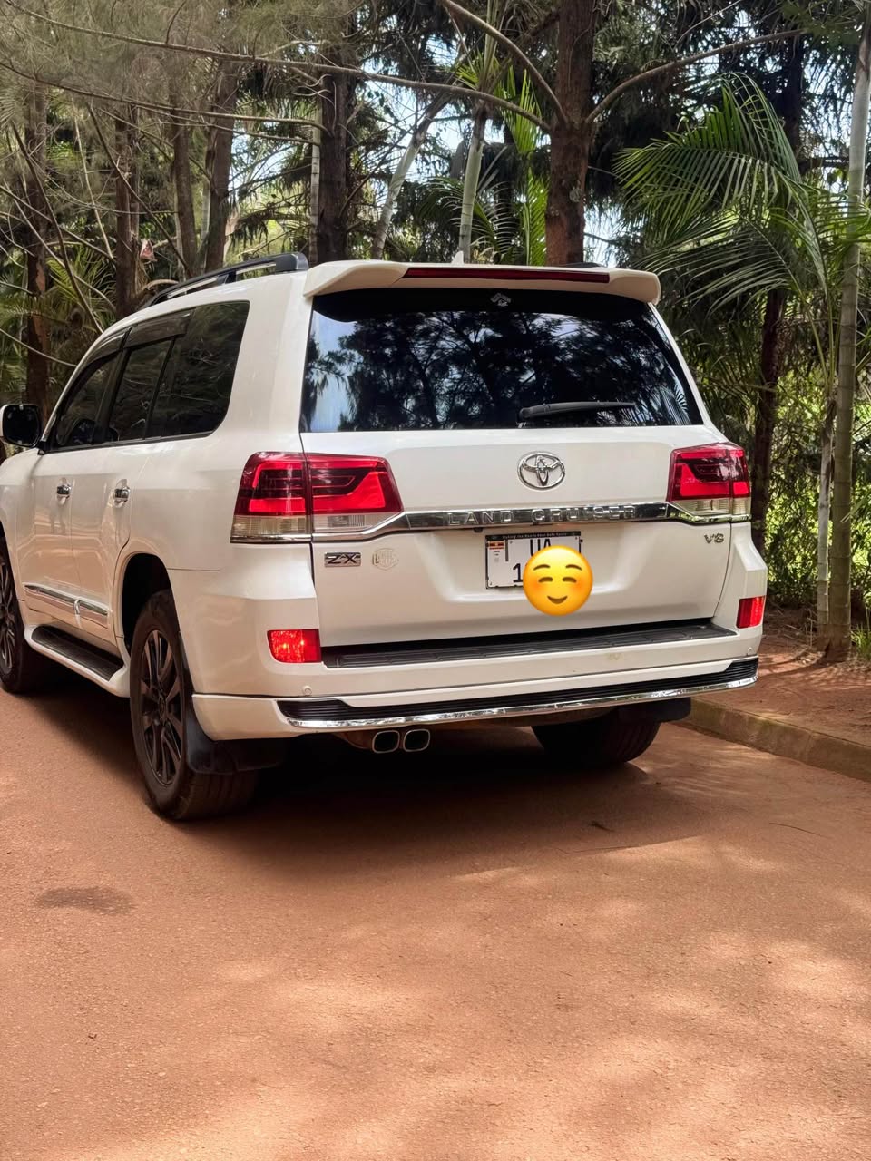 A picture of Land Cruiser v8
