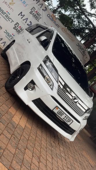 A picture of Alphard
