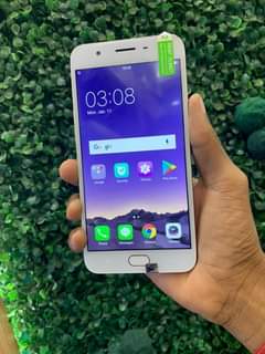 oppo f1