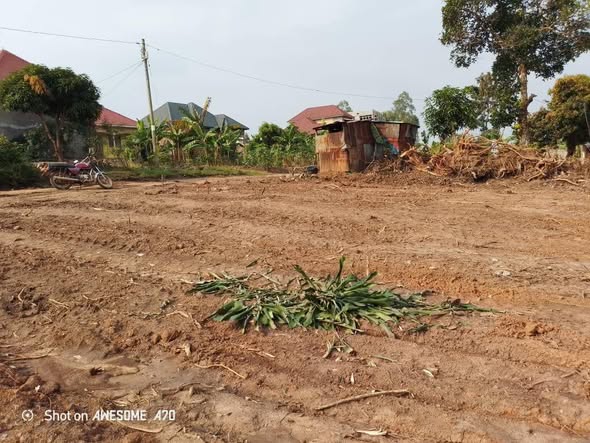 A picture of Land