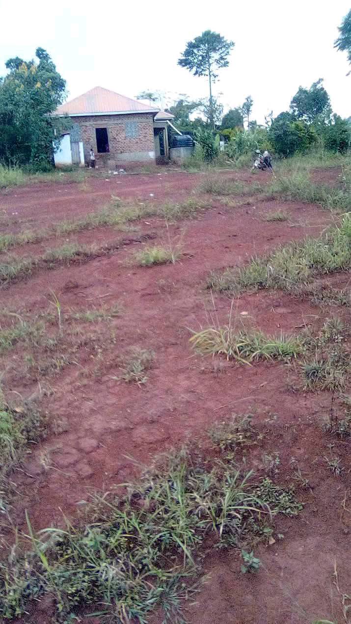 A picture of 50 100 titled plot for sale at only 16m 0704388715