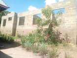 A picture of Boma linauzwa