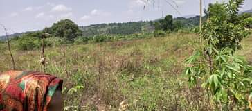 A picture of Plote of land