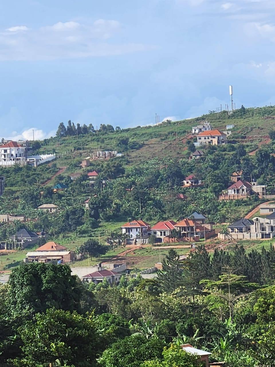 mailo land