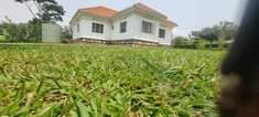 A picture of Beautiful house available for sale located in Nakawuka Jungo having