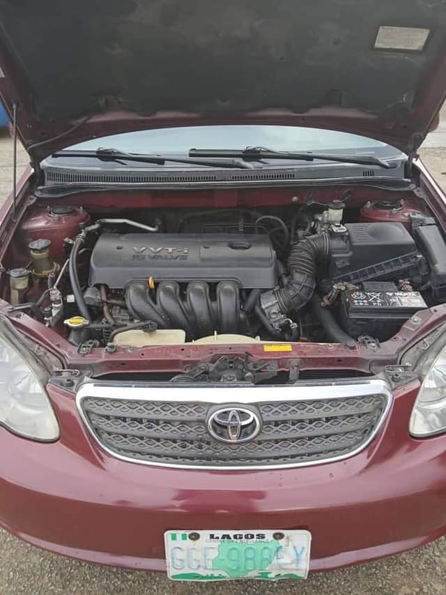 A picture of BELGIUM GRADE COROLLA 08