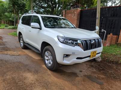 used toyota prado