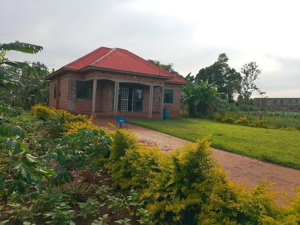 houses matugga