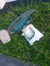 fans