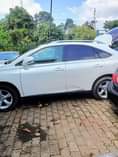A picture of 2014 Lexus Rx350 Xle premium