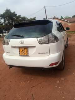 Lubega B.