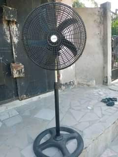 A picture of NAUZ FENI 0786494436