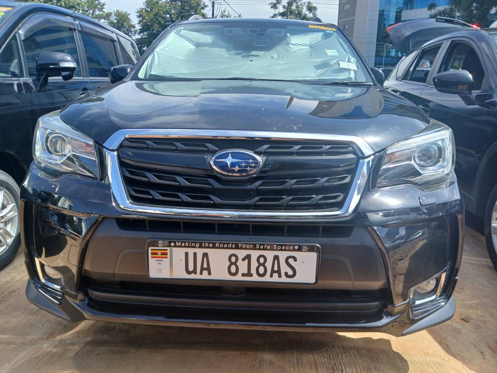 A picture of Subaru forster 2016
