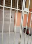 A picture of Single rooms at mutungo self contained at mbuya mutungo kitintale