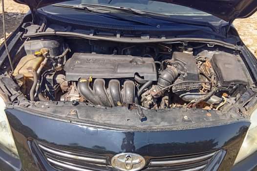 A picture of Toyota Corolla 2010