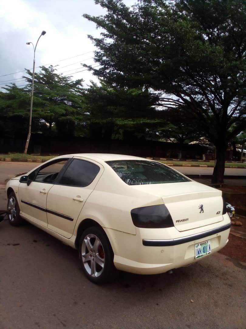 A picture of Peugeot 407. 08036407690