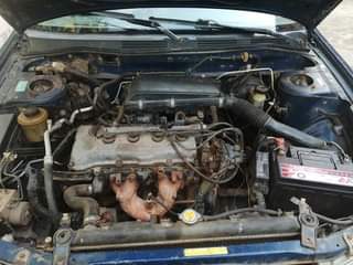 A picture of First Body Primera Manual Buy And Drive