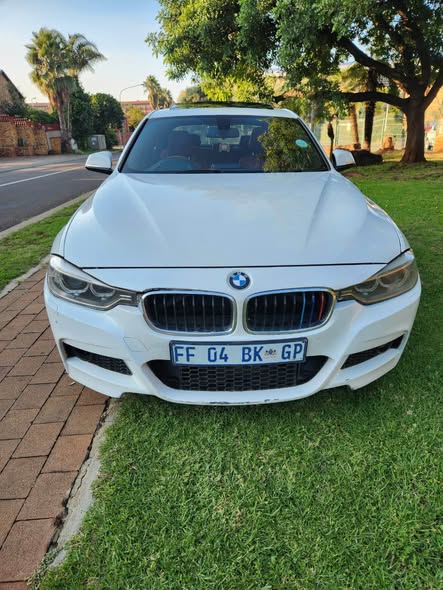 Thulani M.