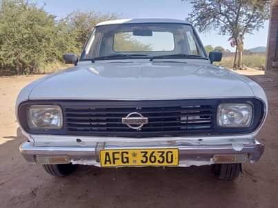 nissan champ