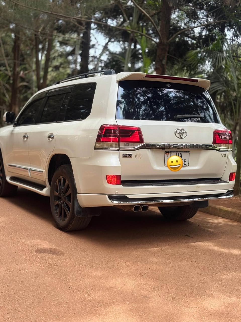 A picture of Land Cruiser v8