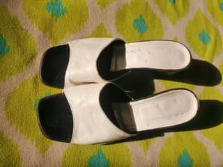 kaunjika