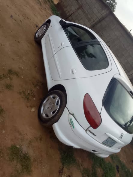 A picture of Peugeot 206