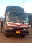 A picture of Fuso