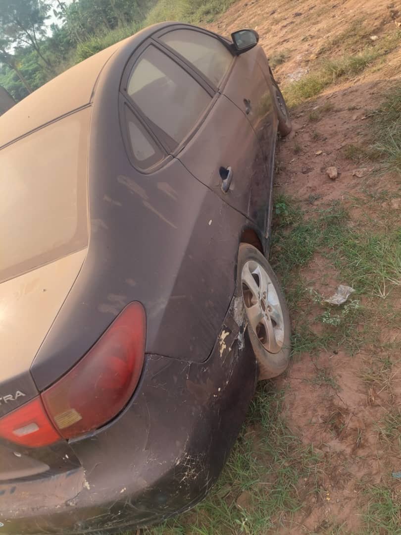 A picture of 2009 Hyunda electra