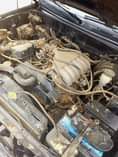 A picture of Toyota 4runner