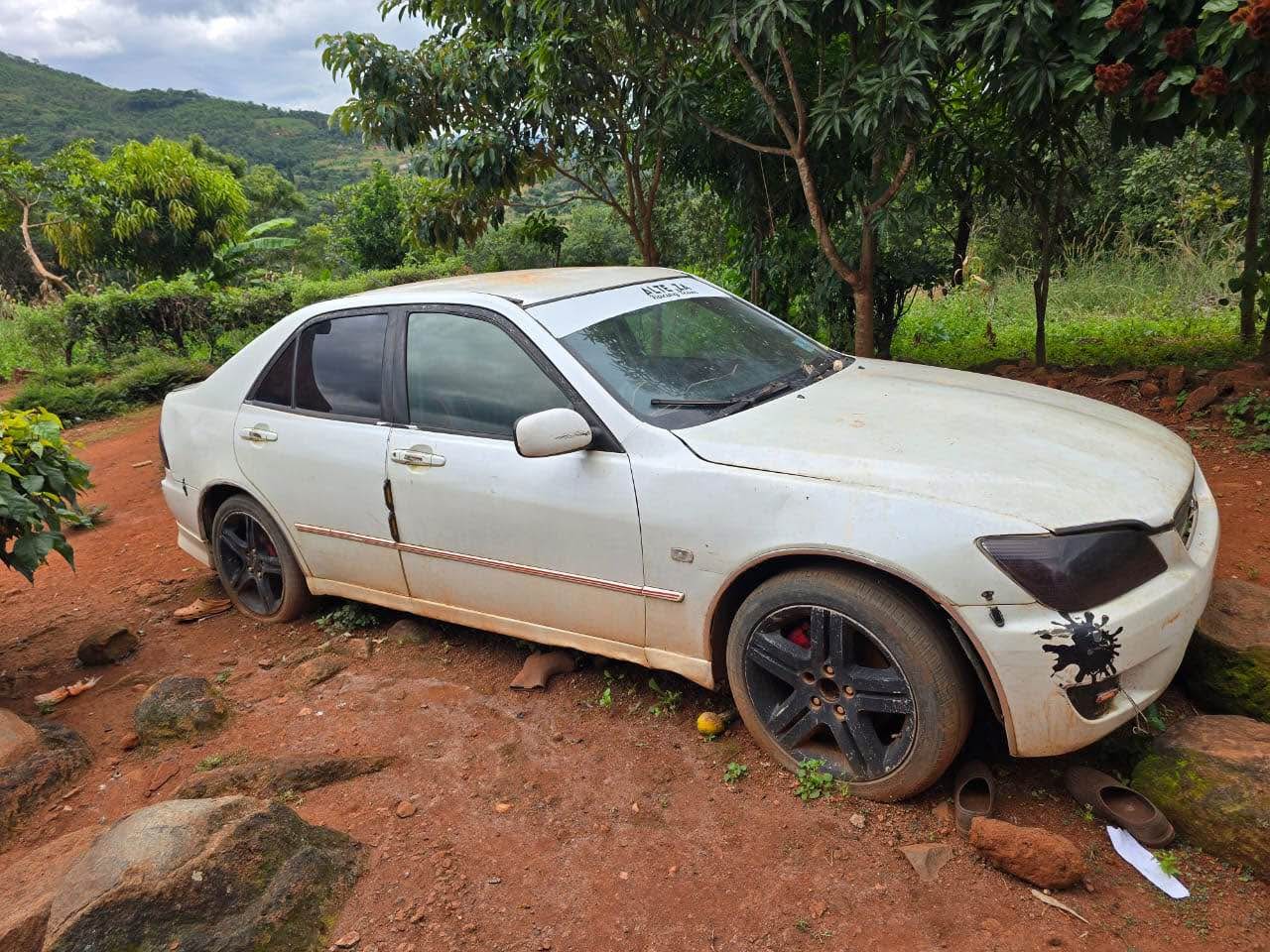 used toyota altezza