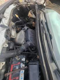 A picture of Alphard