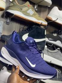 A picture of The shoe store