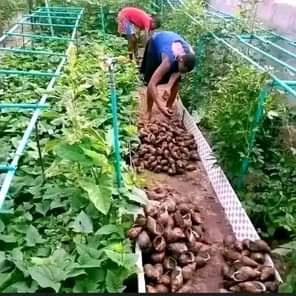 A picture of My friend December is coming again make your family proud