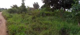 Joudin K.