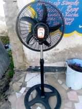 fans