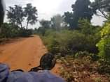 A picture of Nakawuka Jjungo plot urgent sale