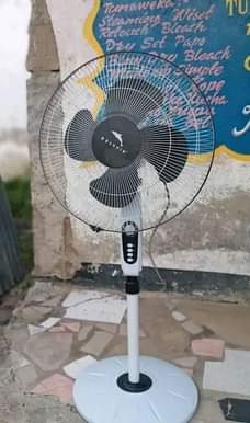 fans