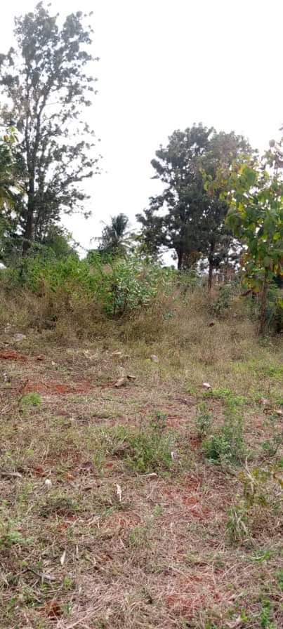 A picture of Kiwanja kinauzwa bigwa milioni 14