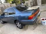 A picture of Nauza corrola k 100