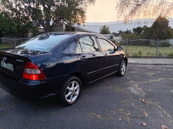 used toyota corolla