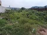 A picture of A plot fr sale