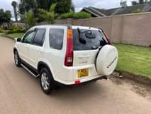 used honda crv