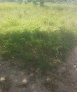 A picture of kiwanja heka moja mil 4 kwa 3 karibu na lami