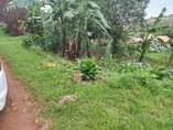 A picture of Plots on sale located at matugga gombe along matugga semuto