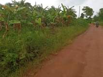 Ssentumbwe B.