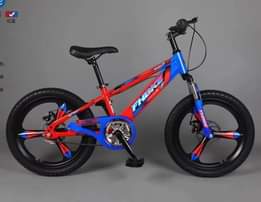 A picture of KIDS BIKES