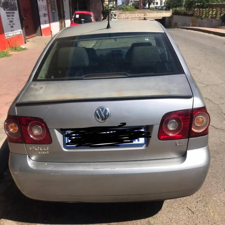 polo vivo