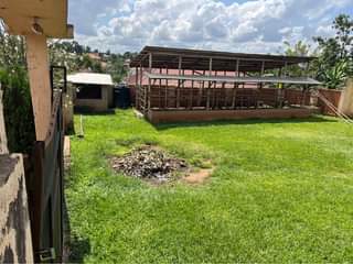 A picture of Prime plot at 35m Nakwero