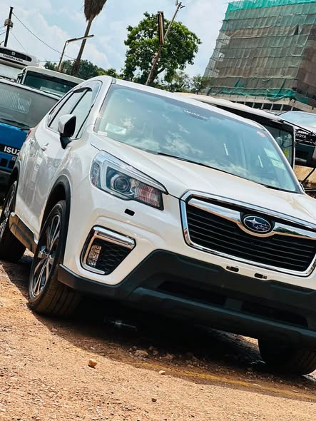 A picture of Subaru Forester